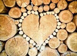 Ile kosztuje metr rąbania drewna?