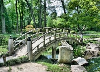 Jaka siekierą do ogrodu?